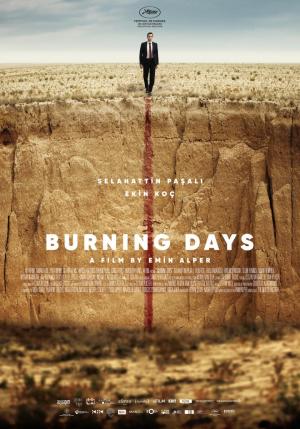 Carátula de Burning Days